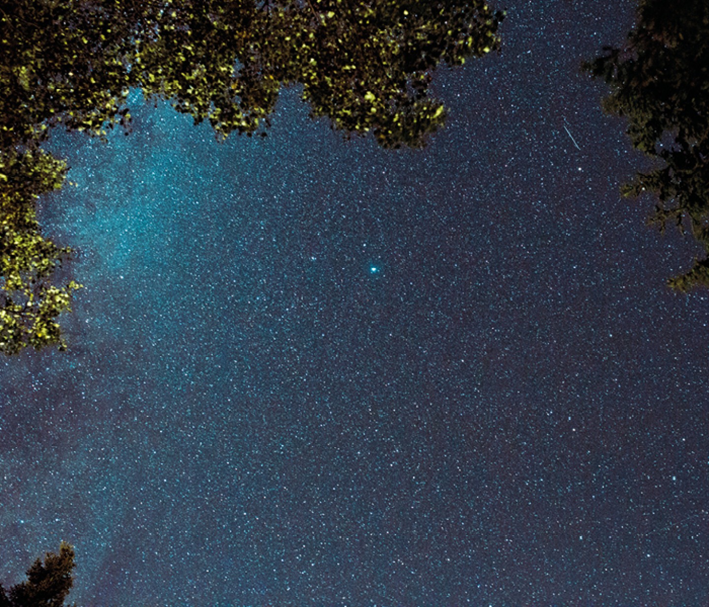 starry sky