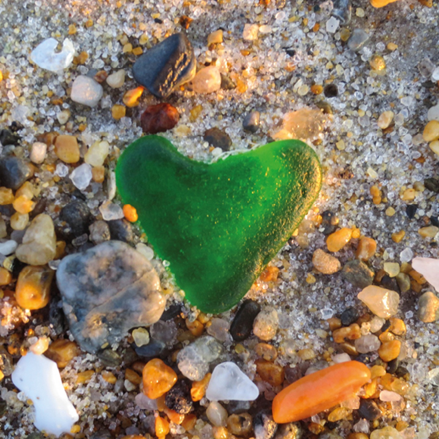 The Sea Glass Company