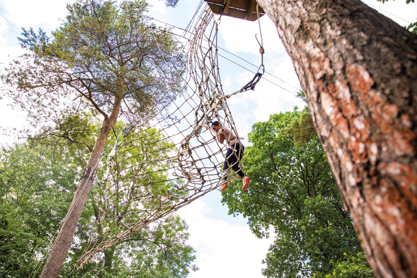 Go Ape at Matfen Hall