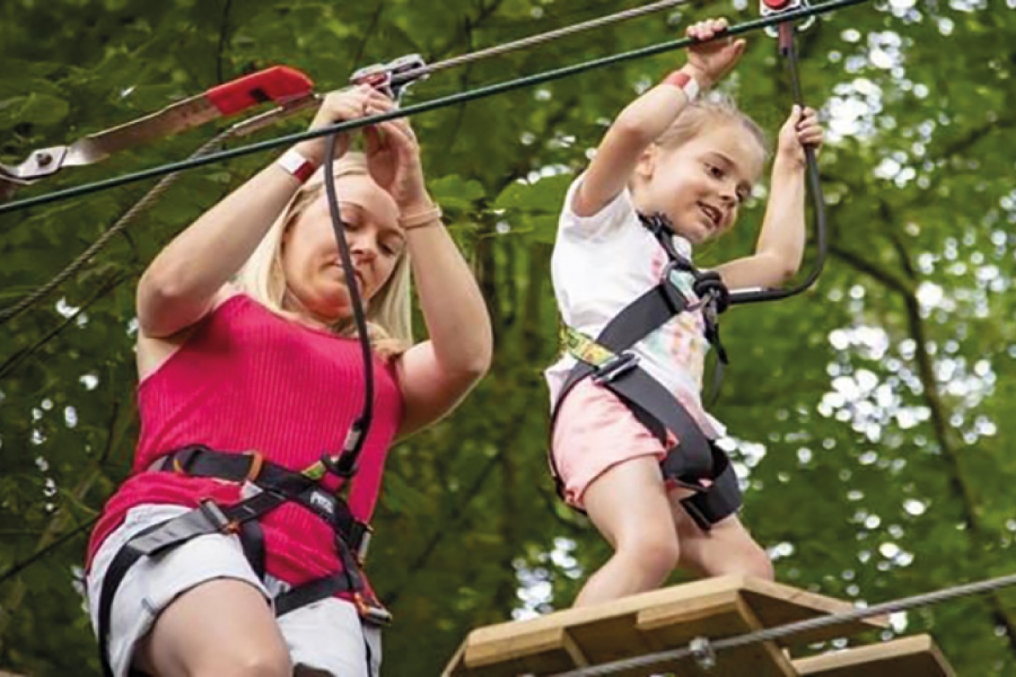 Go Ape, Dalby Forest