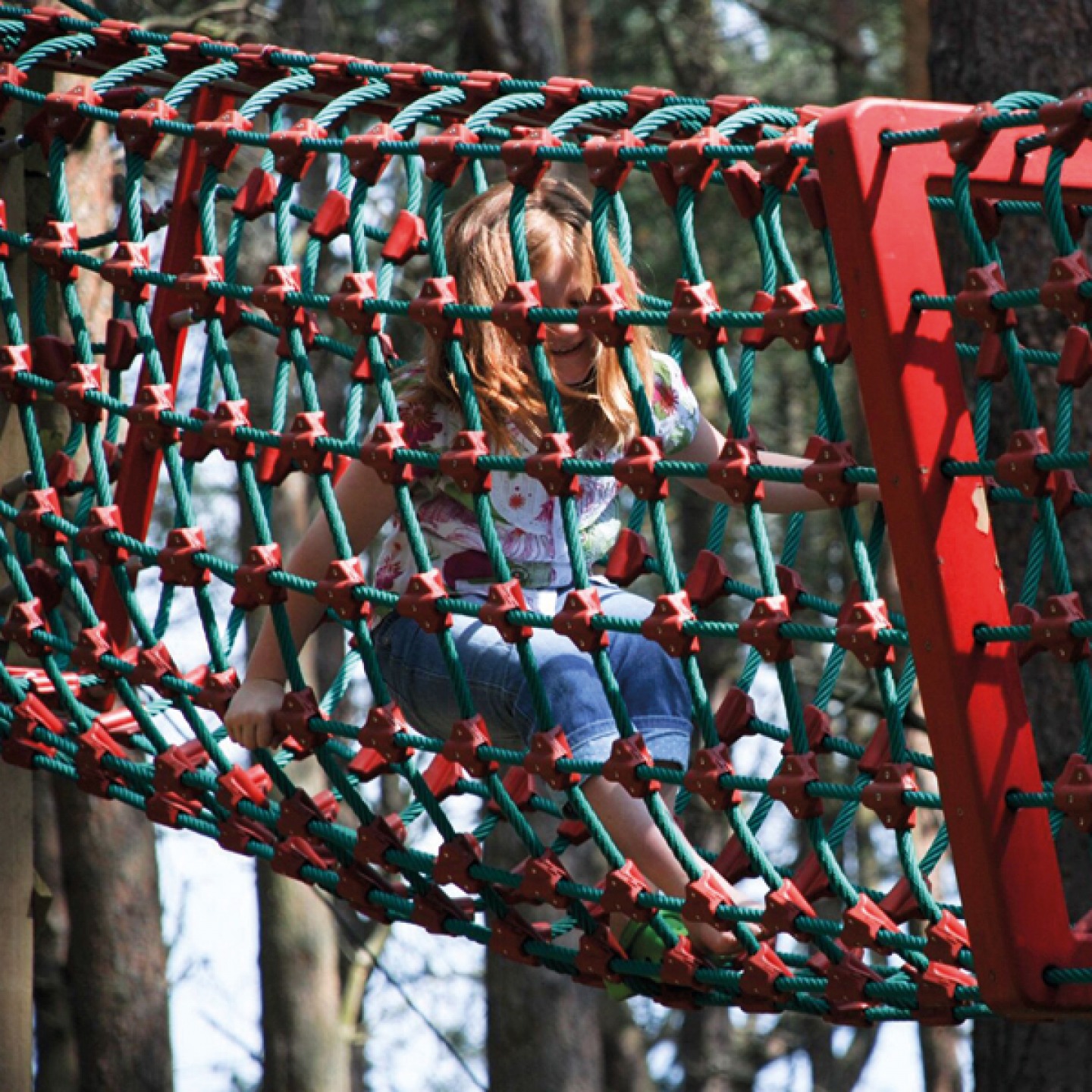 Forest Adventure at Broom House Farm, Witton Gilbert