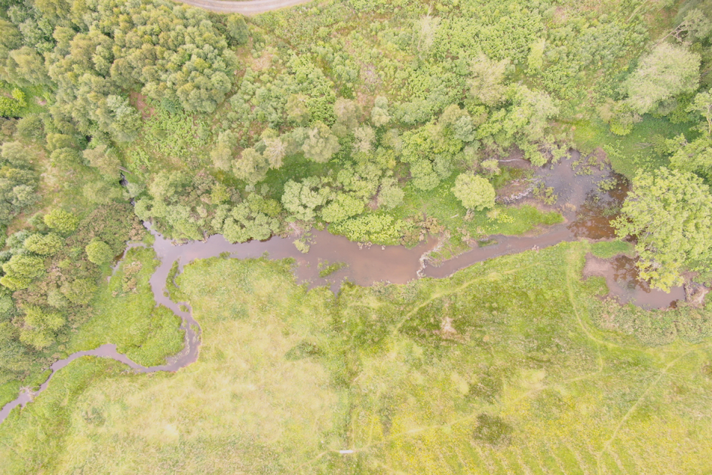 Wallington beaver enclosure ©The Centre for Search Research