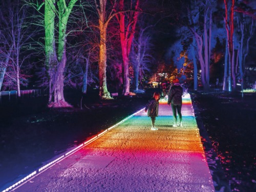 Magical Christmas Light Trails Across the North East and Yorkshire