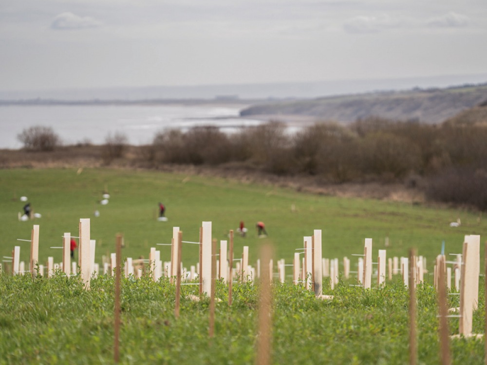Durham Coast Tina’s Haven tree planting 31st March 2025 National Trust Rebecca Hughes