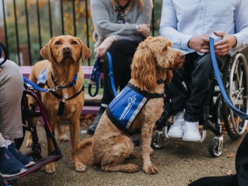 Why You Should Join the Great North Run to Raise Money for This Sheffield-based Charity
