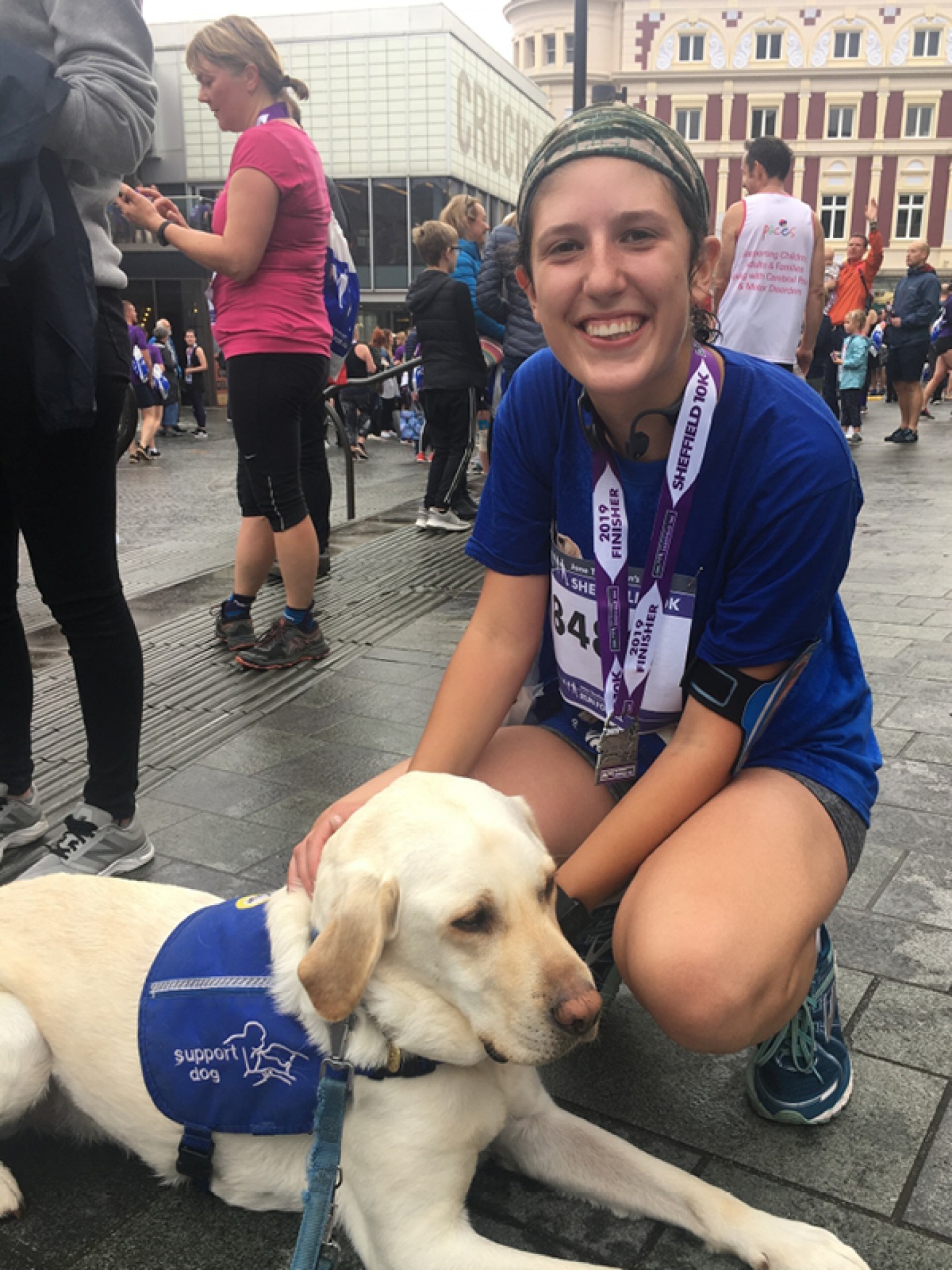 Labrador support dog with a runner
