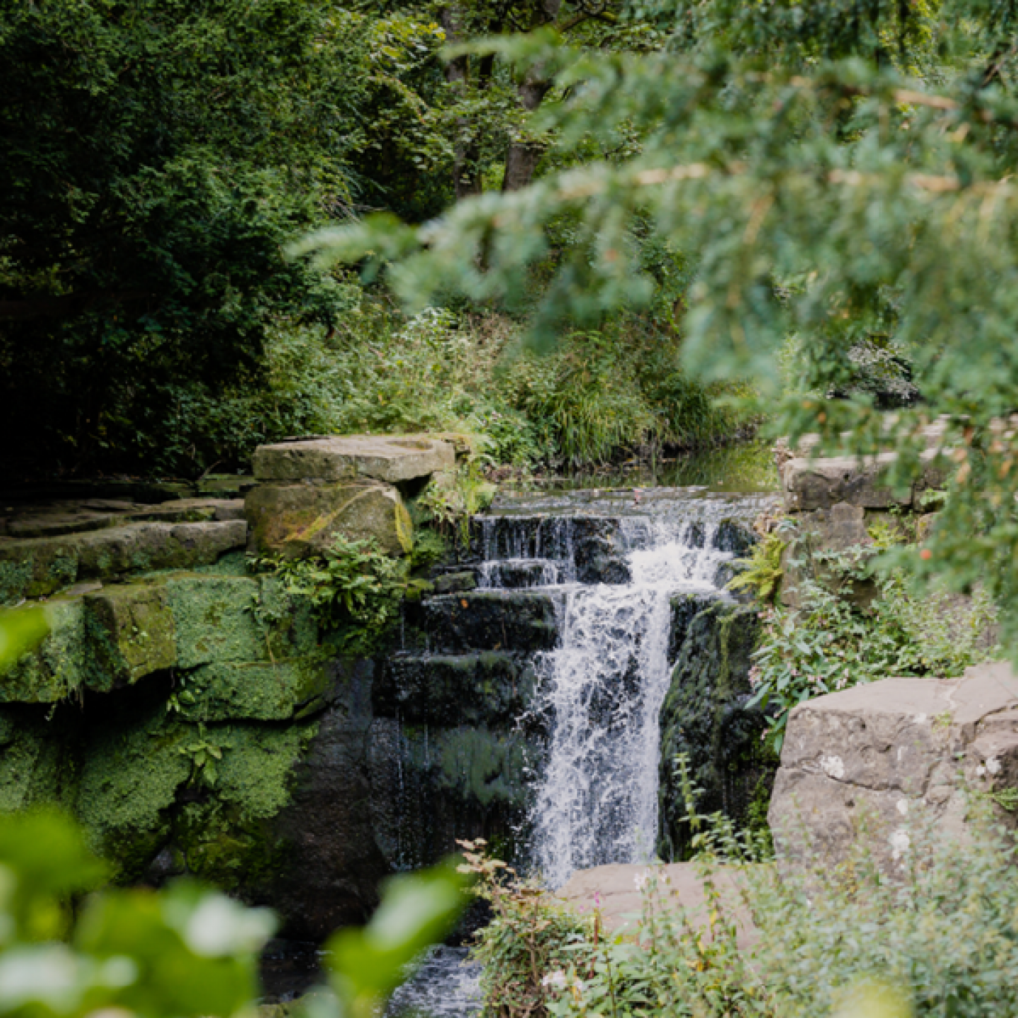 Jesmond Dene Waterfall