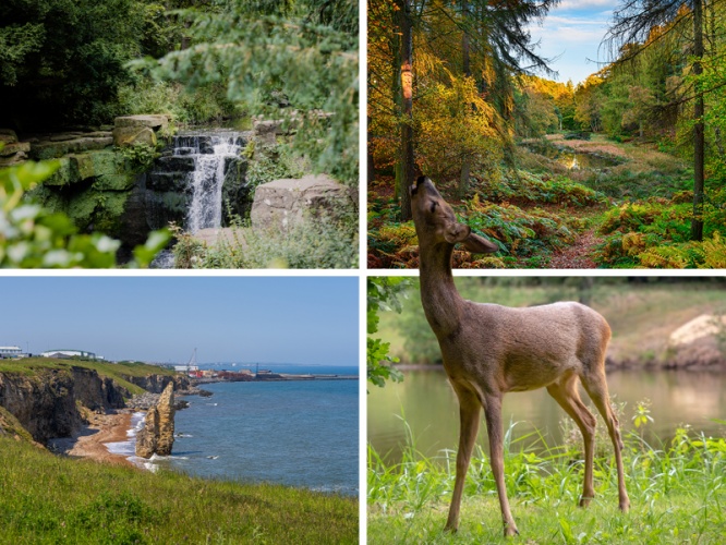 Four Fabulous Family-Friendly Walks