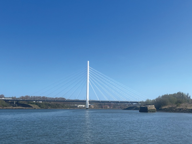 Discover the River Wear's Hidden Saltmarshes