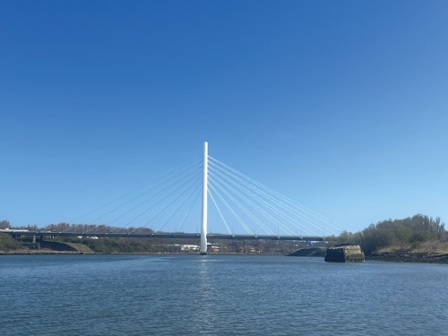 Discover the River Wear's Hidden Saltmarshes