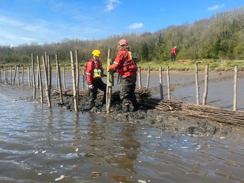 Groundwork NE & Cumbria, installing  the wood posts and the brushwood fascines