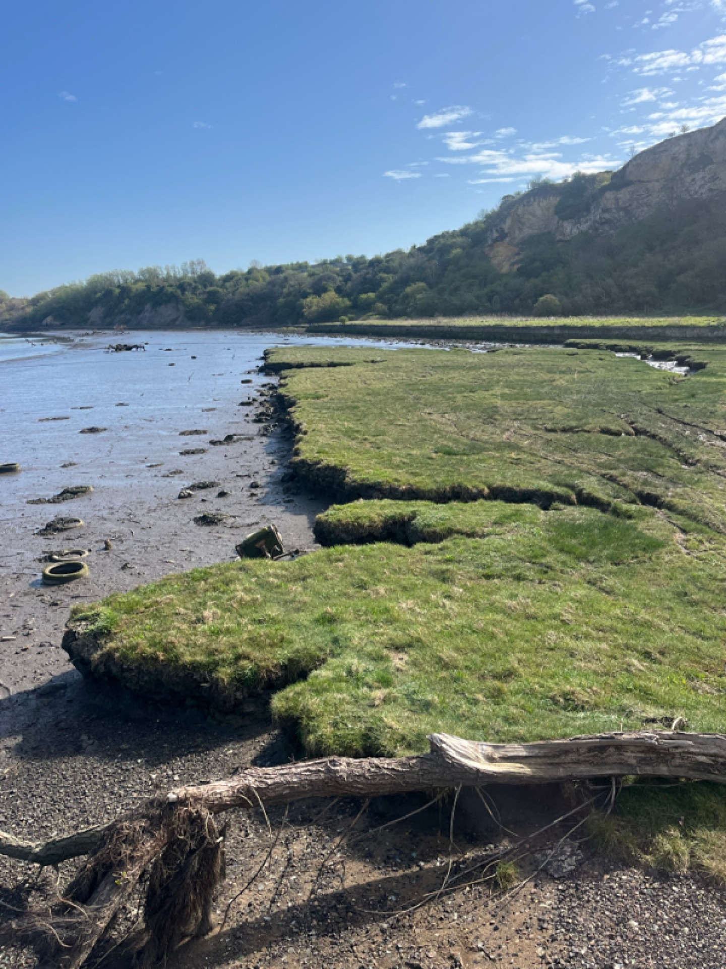 Saltmarsh at Claxheugh