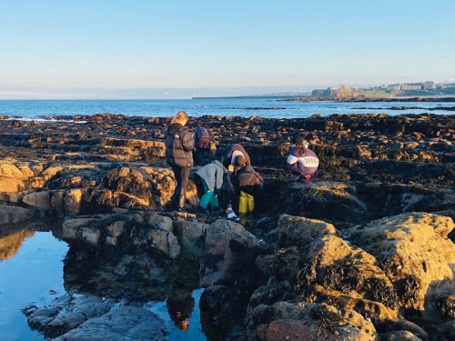 Meet the North East Mum Who Set Up Her Own Rockpool School