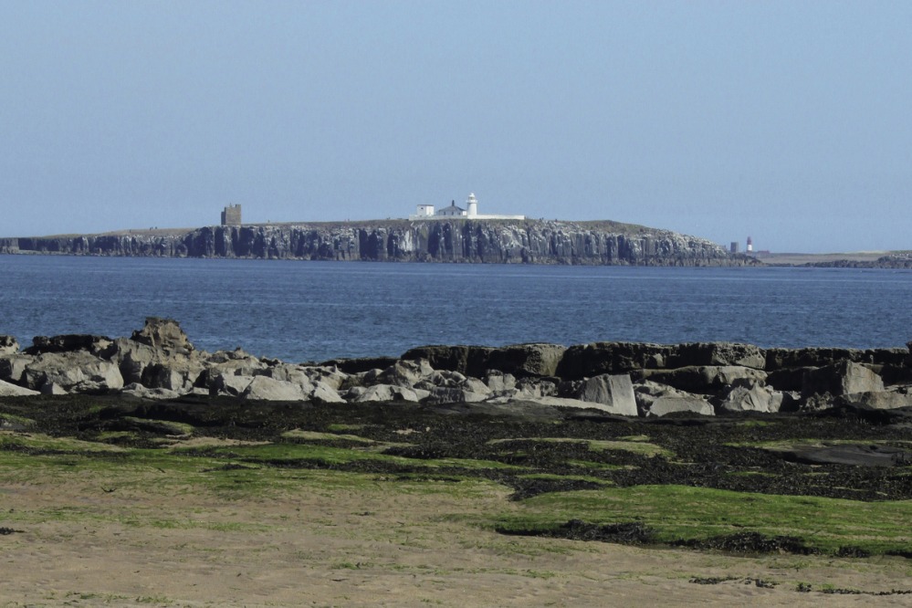The Farne Islands