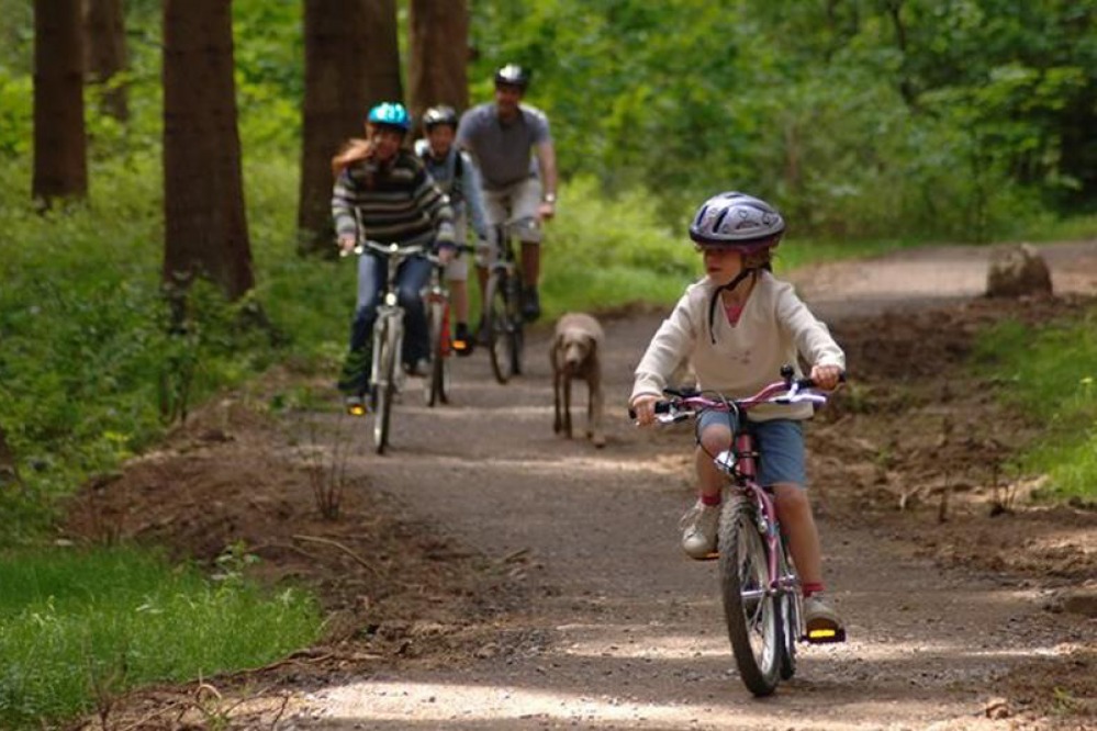 Family riding bikes in Hamsterley Forest
