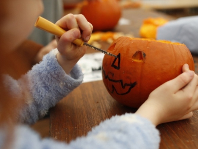 Discover the North East's Biggest Pumpkin Patch at Brocksbushes