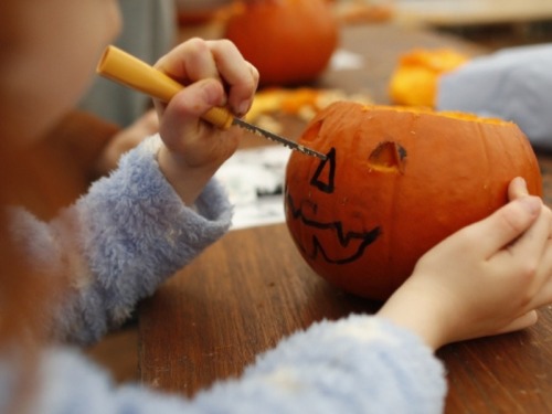 Discover the North East's Biggest Pumpkin Patch at Brocksbushes