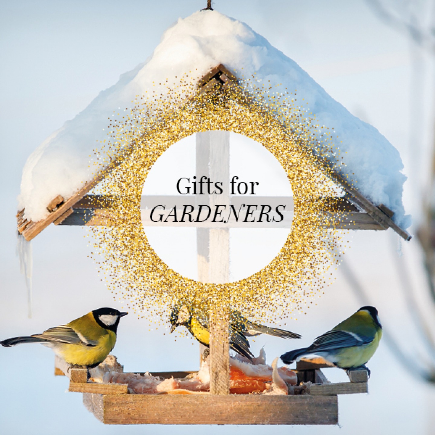 bride on a wooden bird deer in the snow