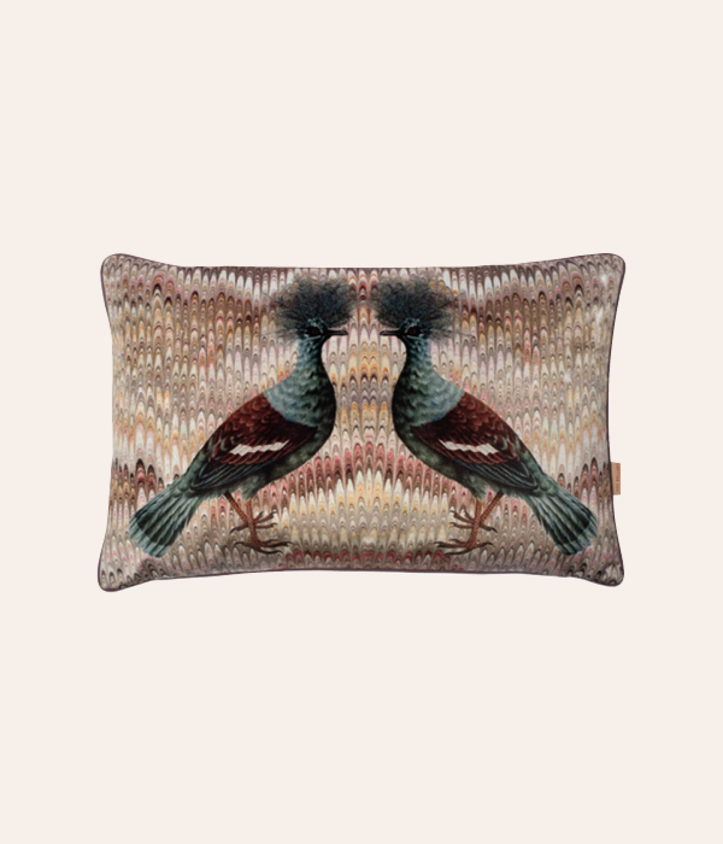 Crowned Pigeon velvet cushion