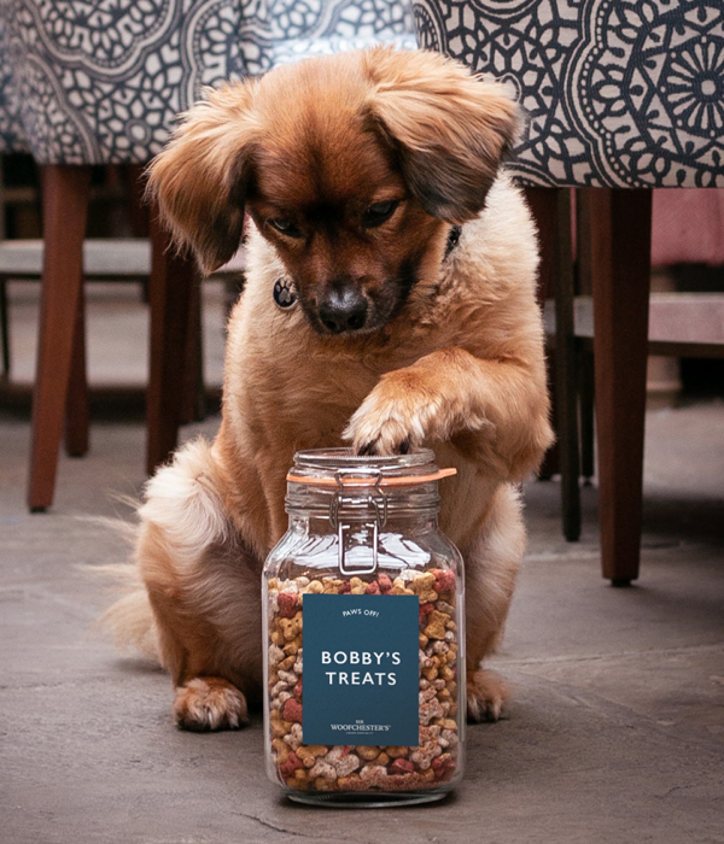 Personalised treat jar