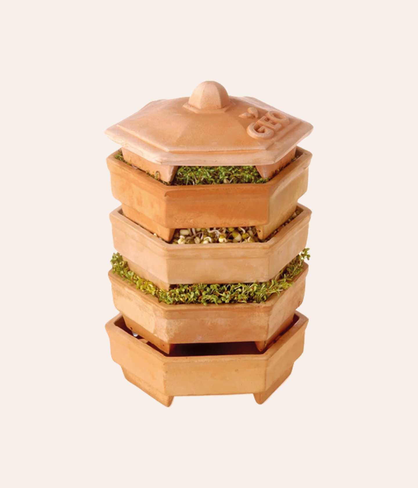 Terracotta sprouting tower