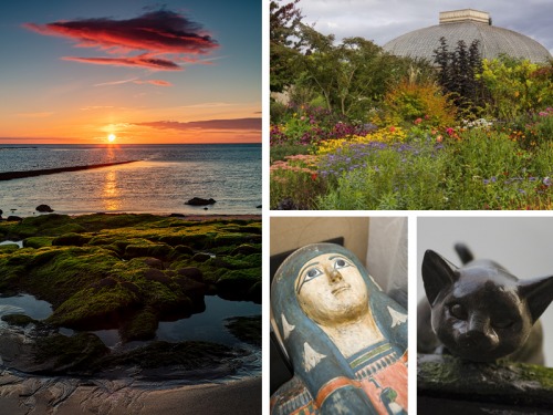 Free Ways to Fill Your Days This Half Term