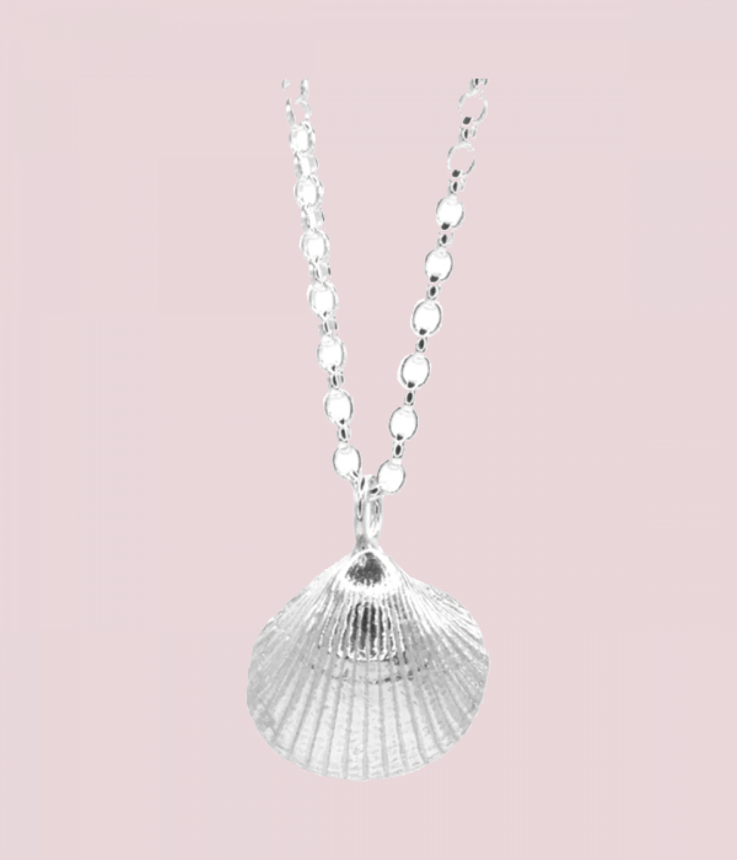 Low Newton silver shell necklace