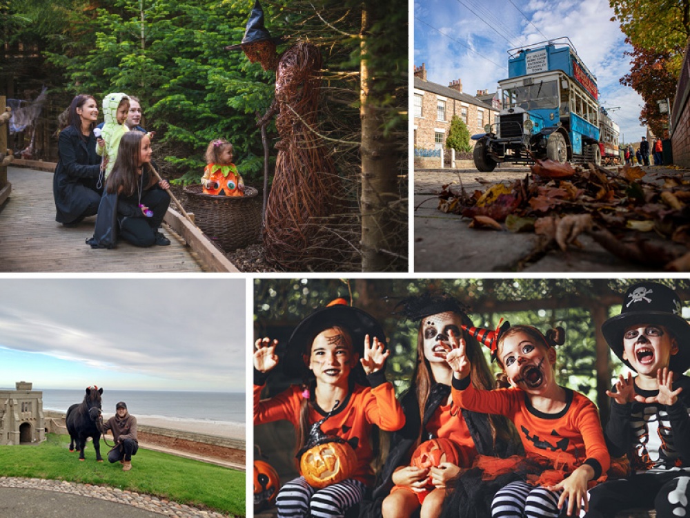Half Term Days Out