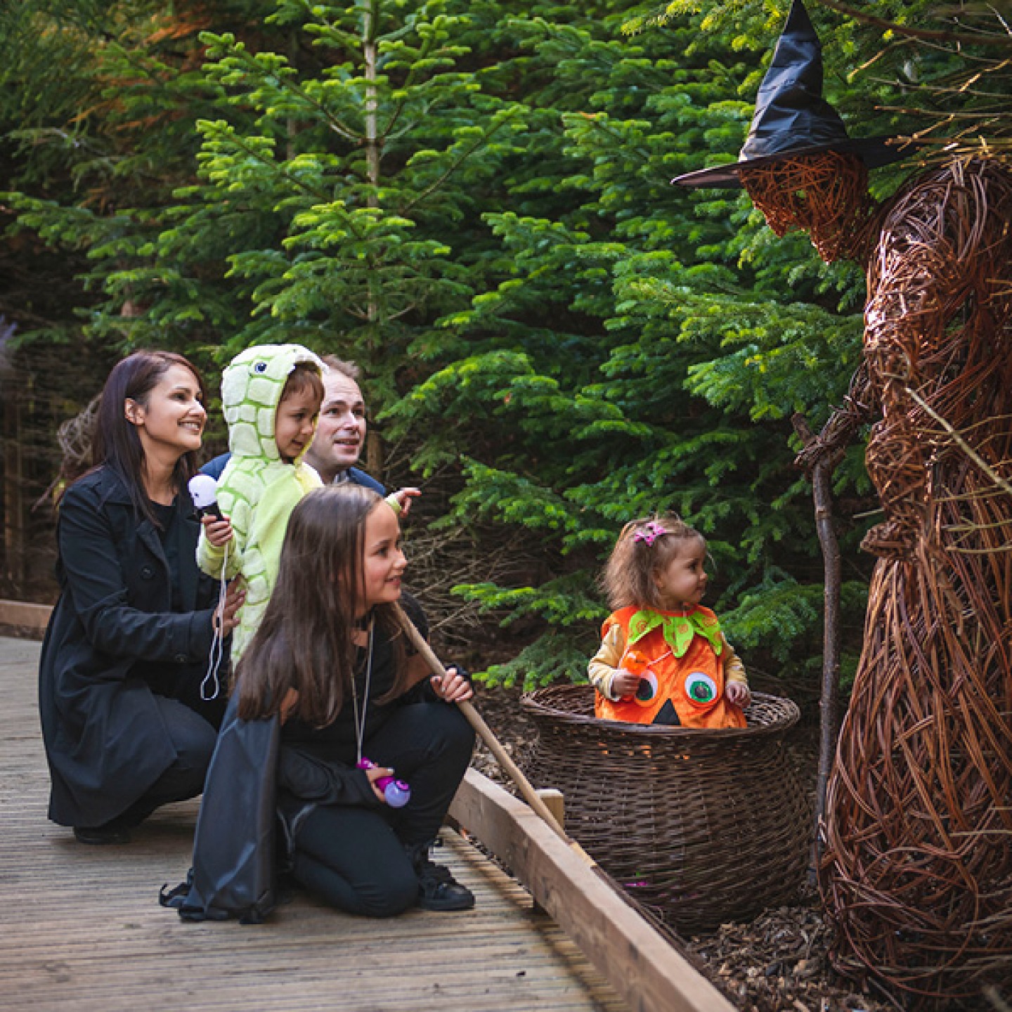 The Plotters’ Forest