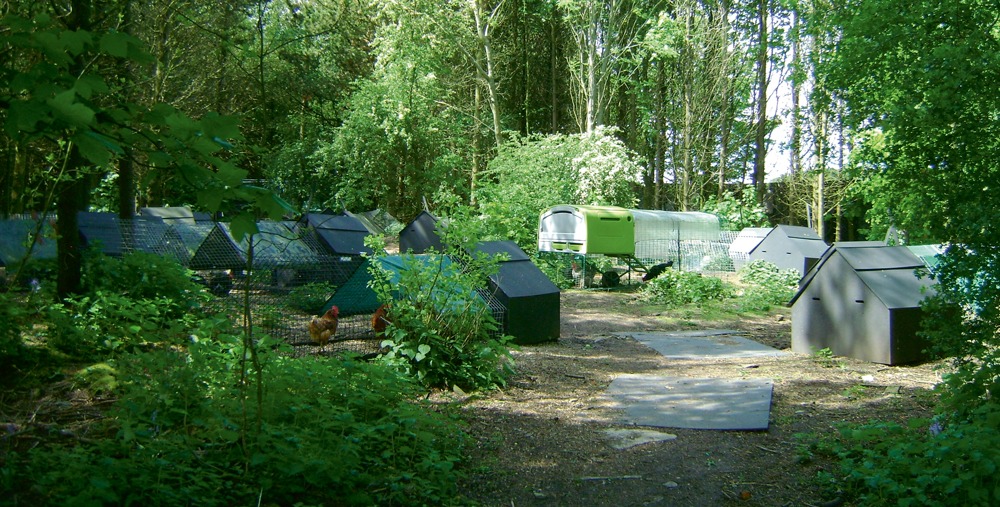 Hen Hotel, County Durham