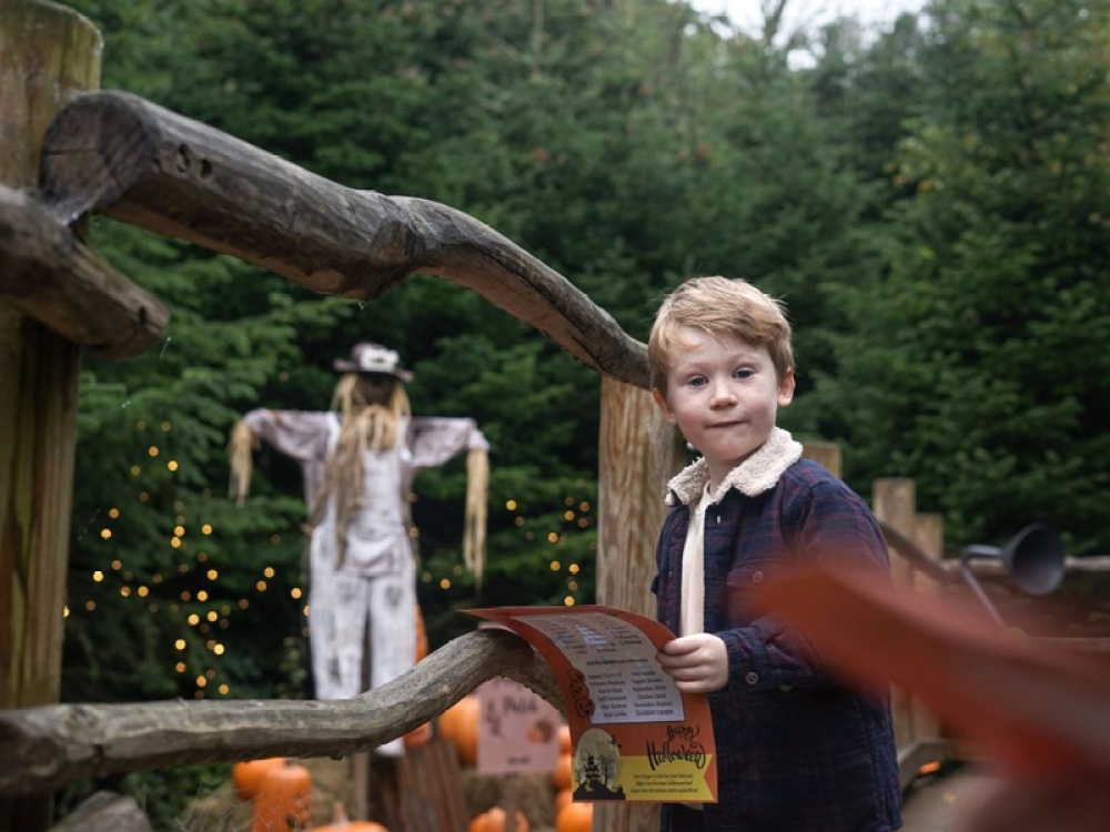 What to Do this October Half Term Across the North East and Yorkshire