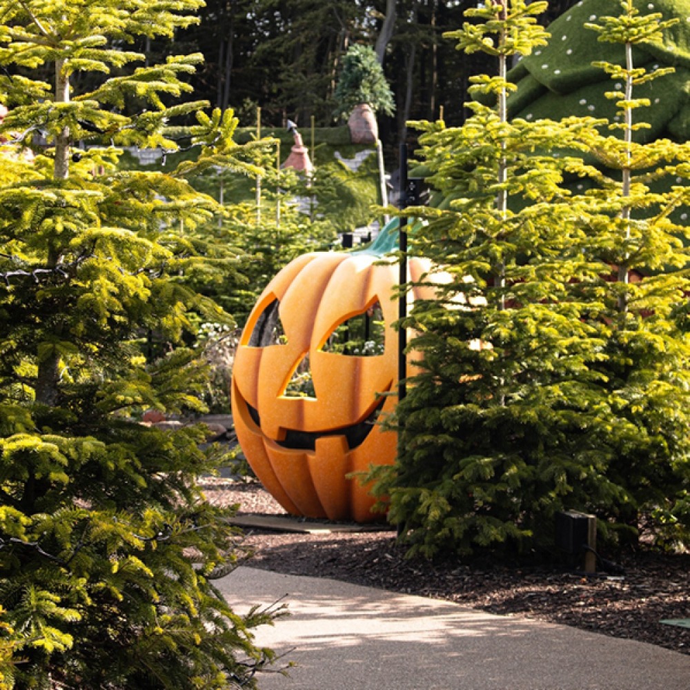Giant pumpkin among the trees and paths