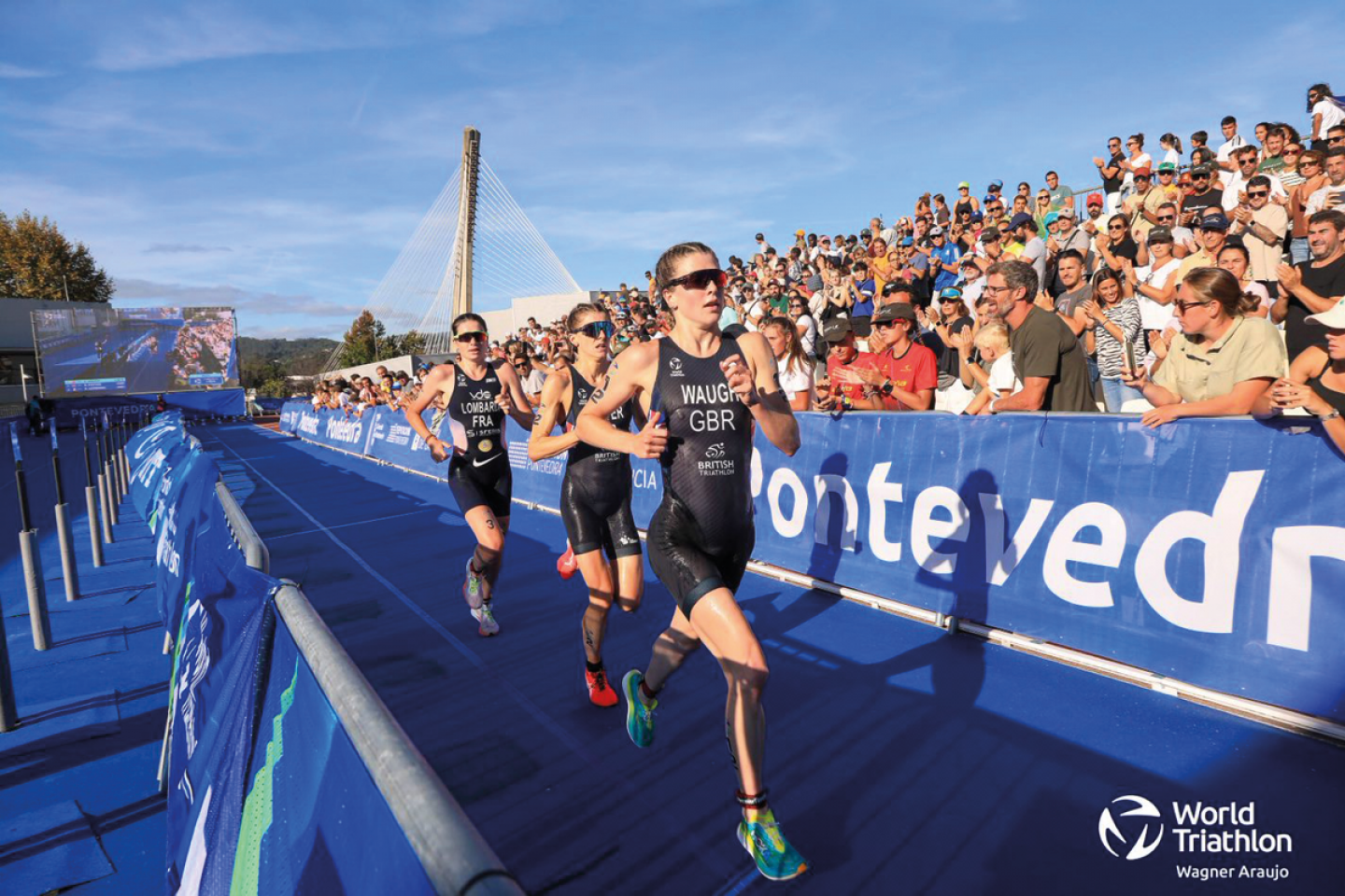© World Triathlon, Wagner Araujo