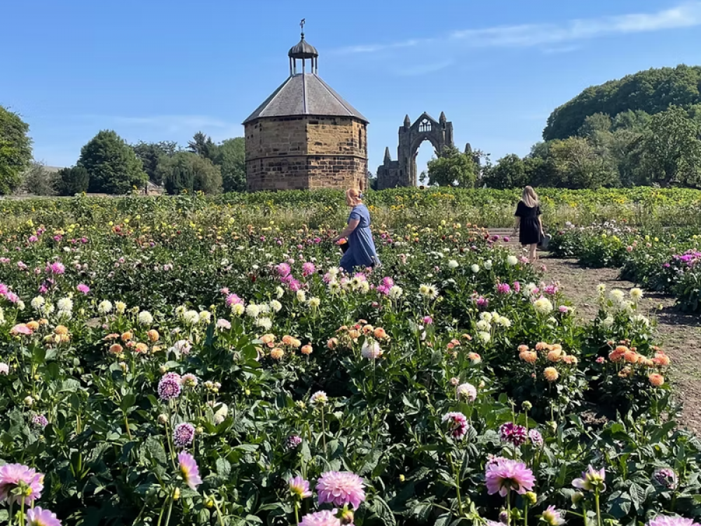 Rowes at Priory Gardens