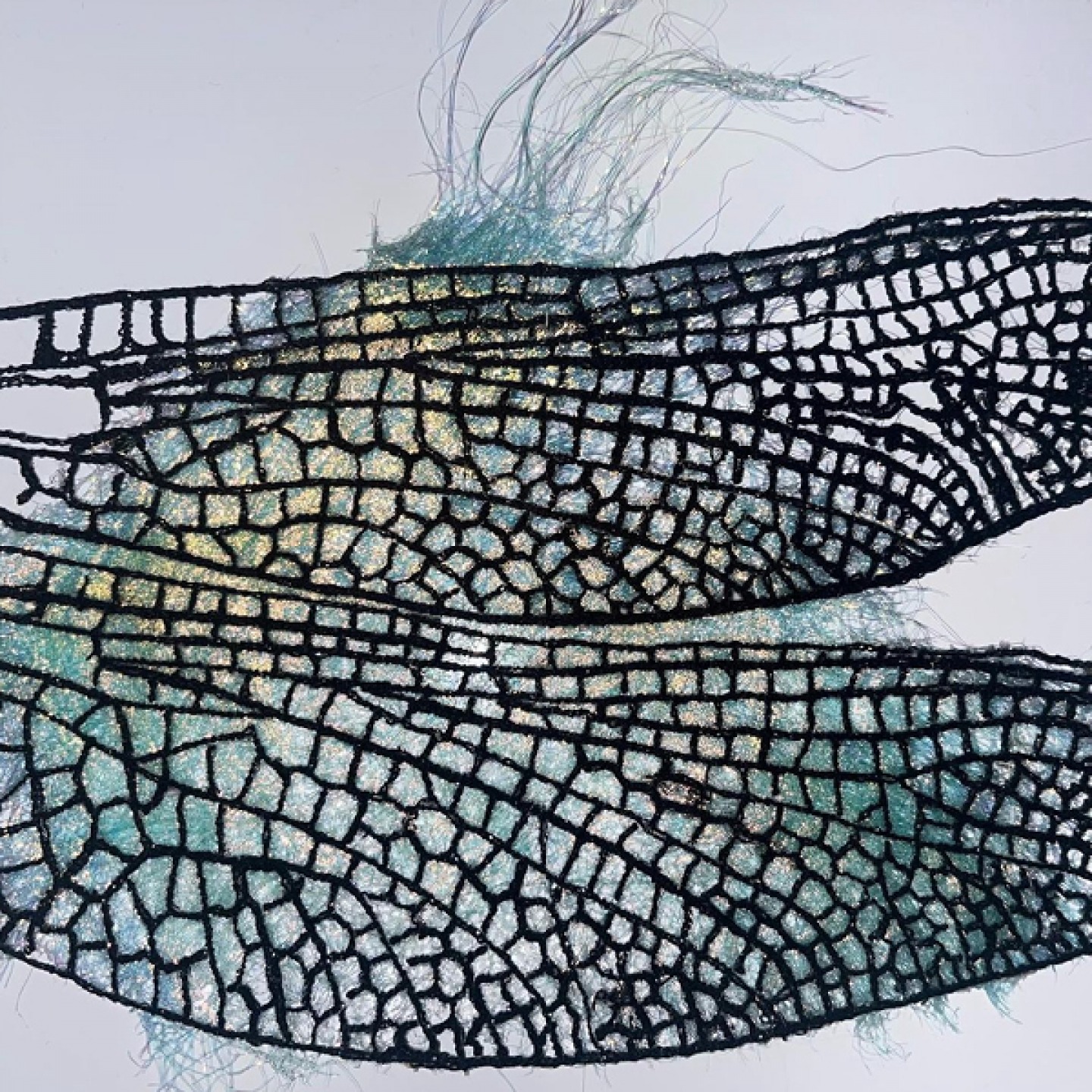 Illustration of black dragonfly wings with blues and greens