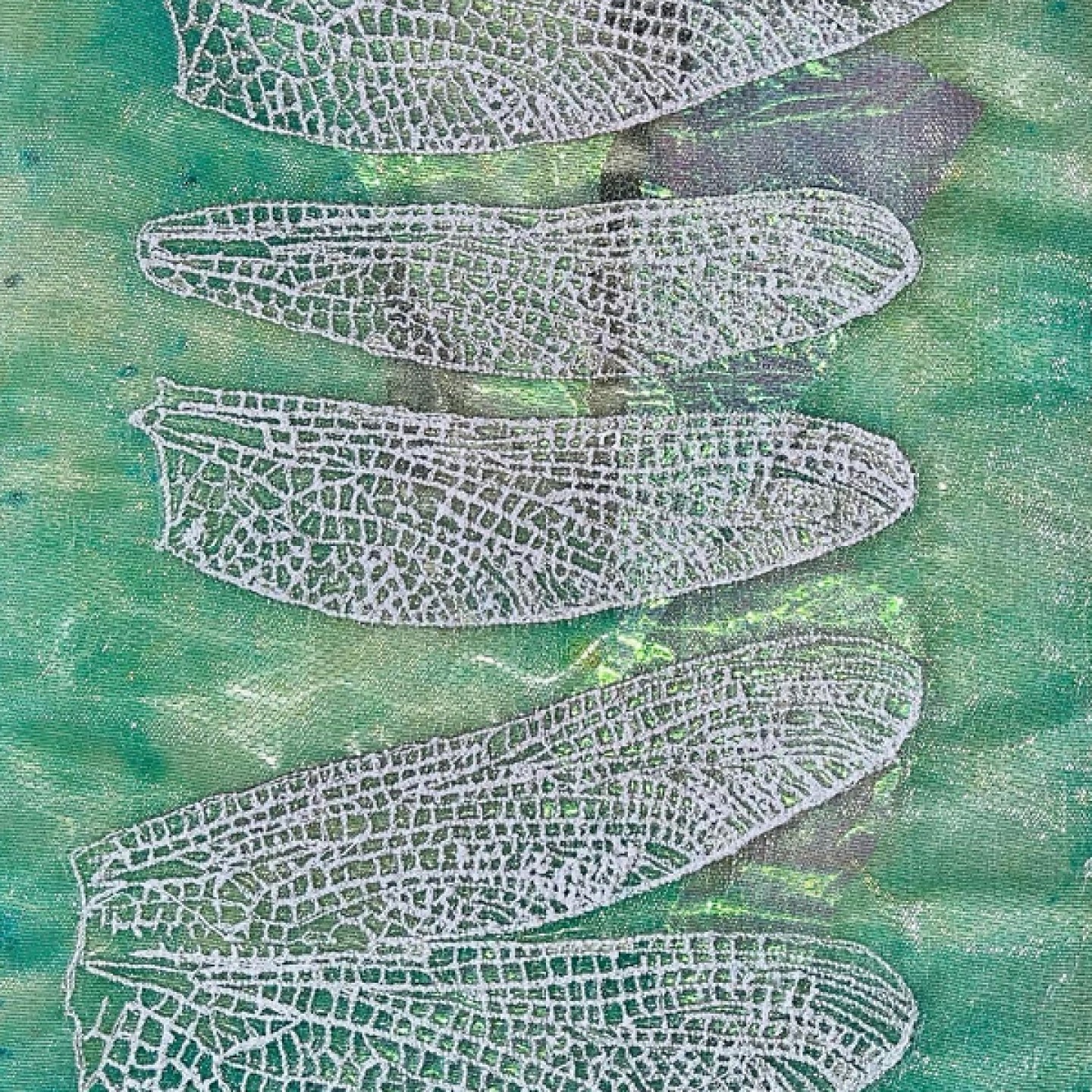 Illustration of white dragonfly wings on aqua background