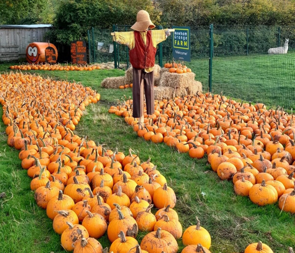 Newham Grange Farm