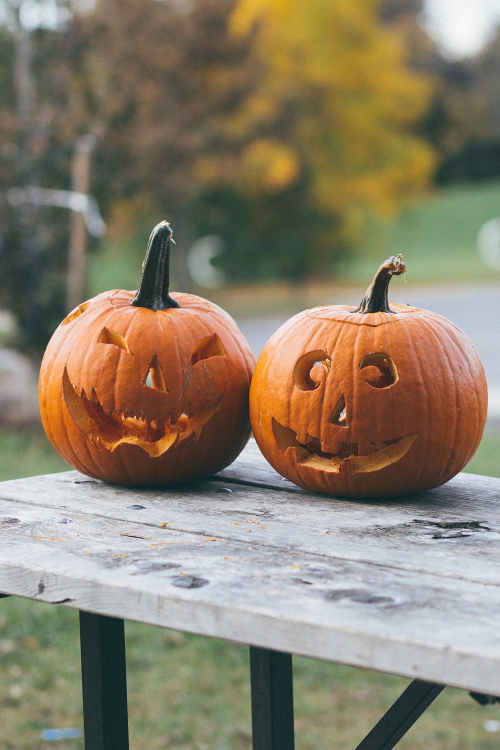 Pumpkins carved