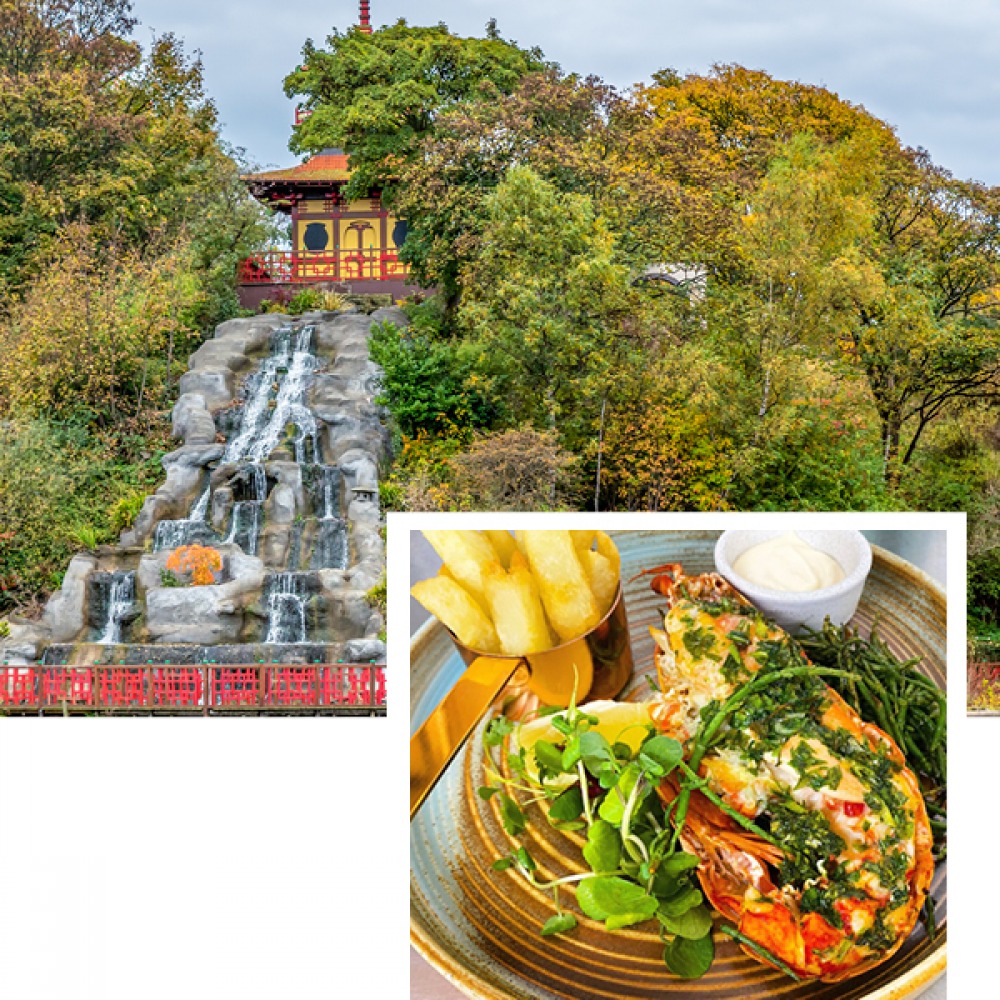 park with waterfall and lobster and chips