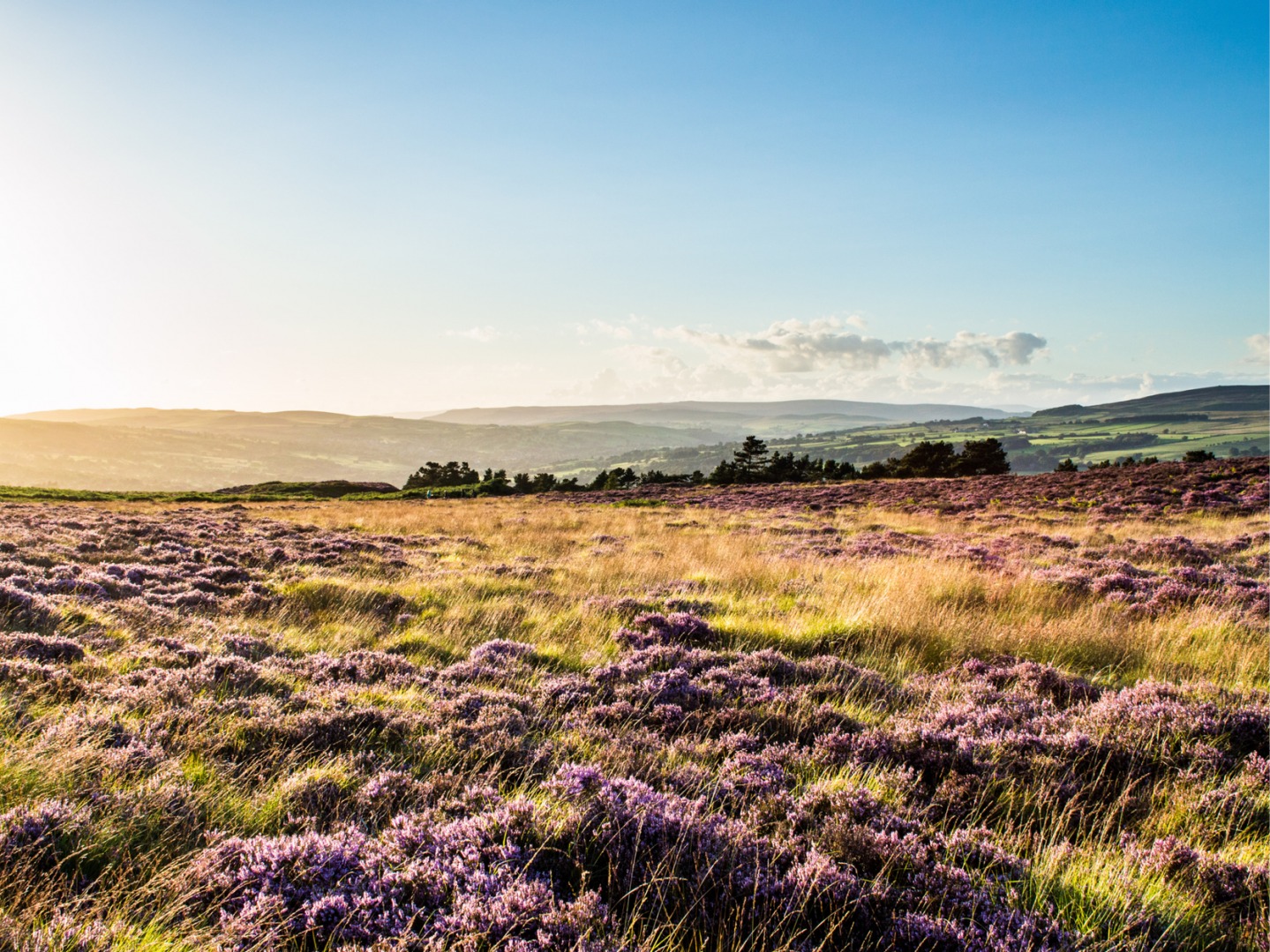 ILKLEY MOOR