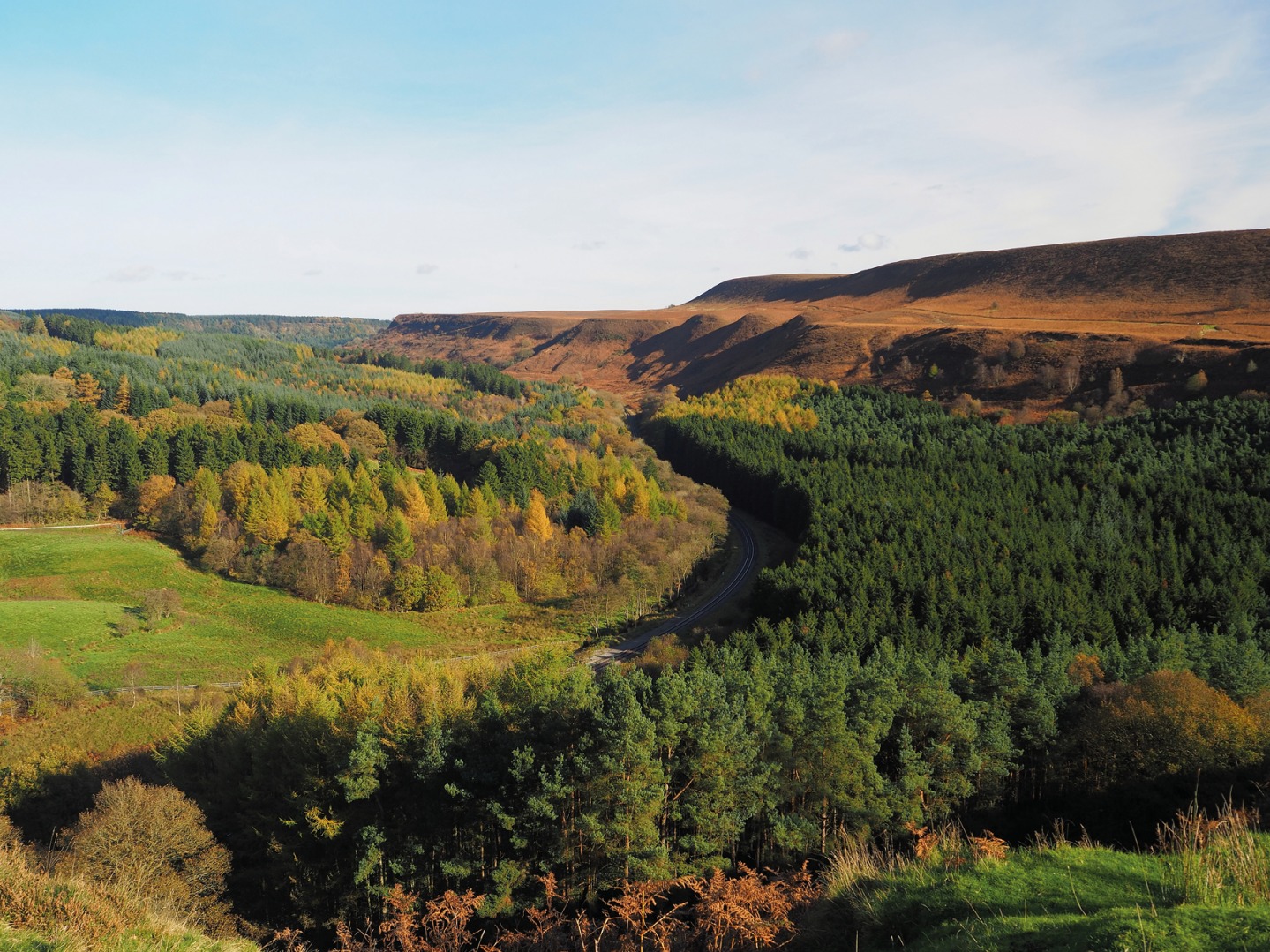 NEWTONDALE