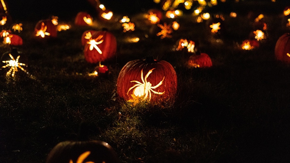 Fright-ful Halloween Events in Yorkshire