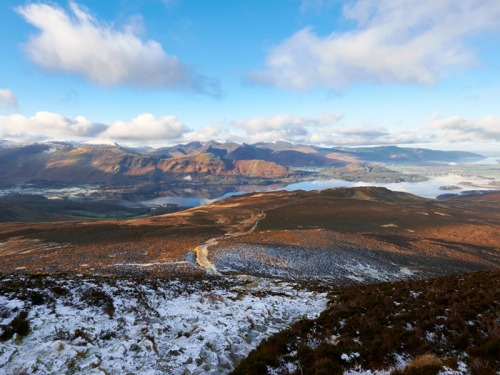 It’s a Dog’s Life: Celebrating Heroic Hounds