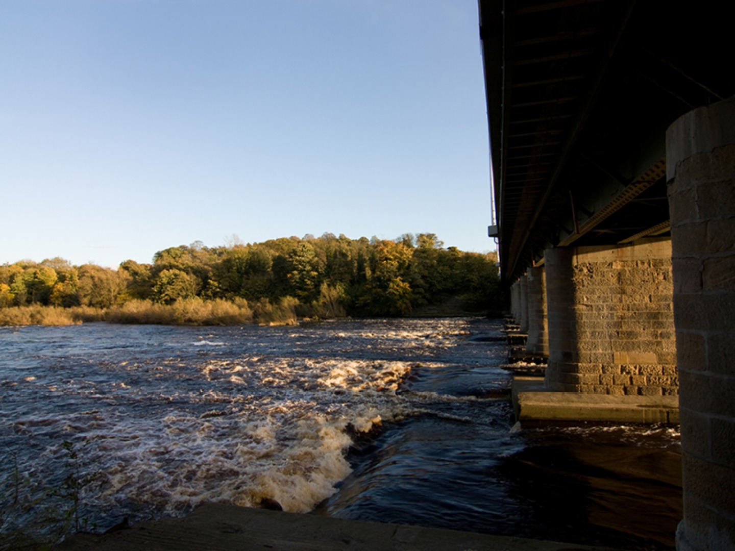 River Tyne at Wylam