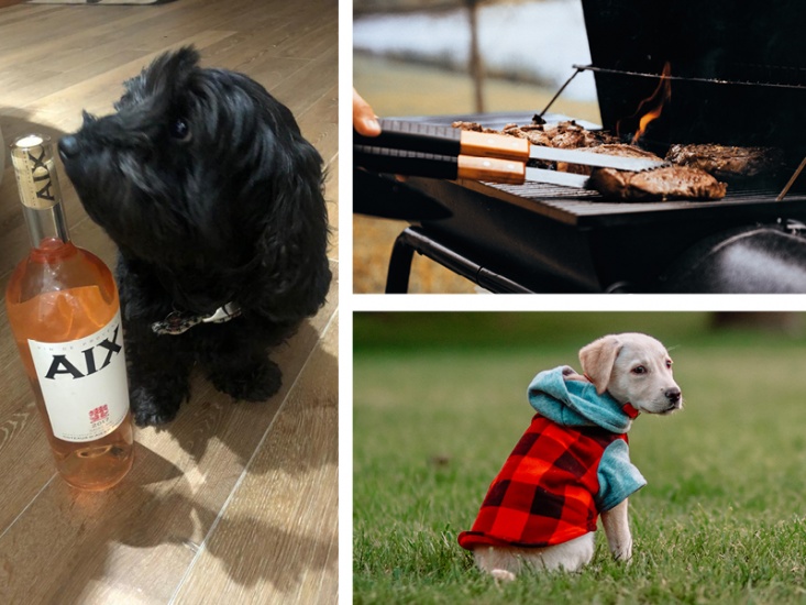 It’s a Dog’s Life: Winston’s Having a Barbecue