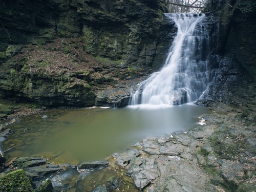 It’s a Dog’s Life: Winston Heads to a Waterfall