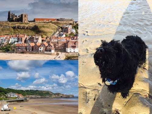 It’s a Dog’s Life: Winnie goes to Whitby