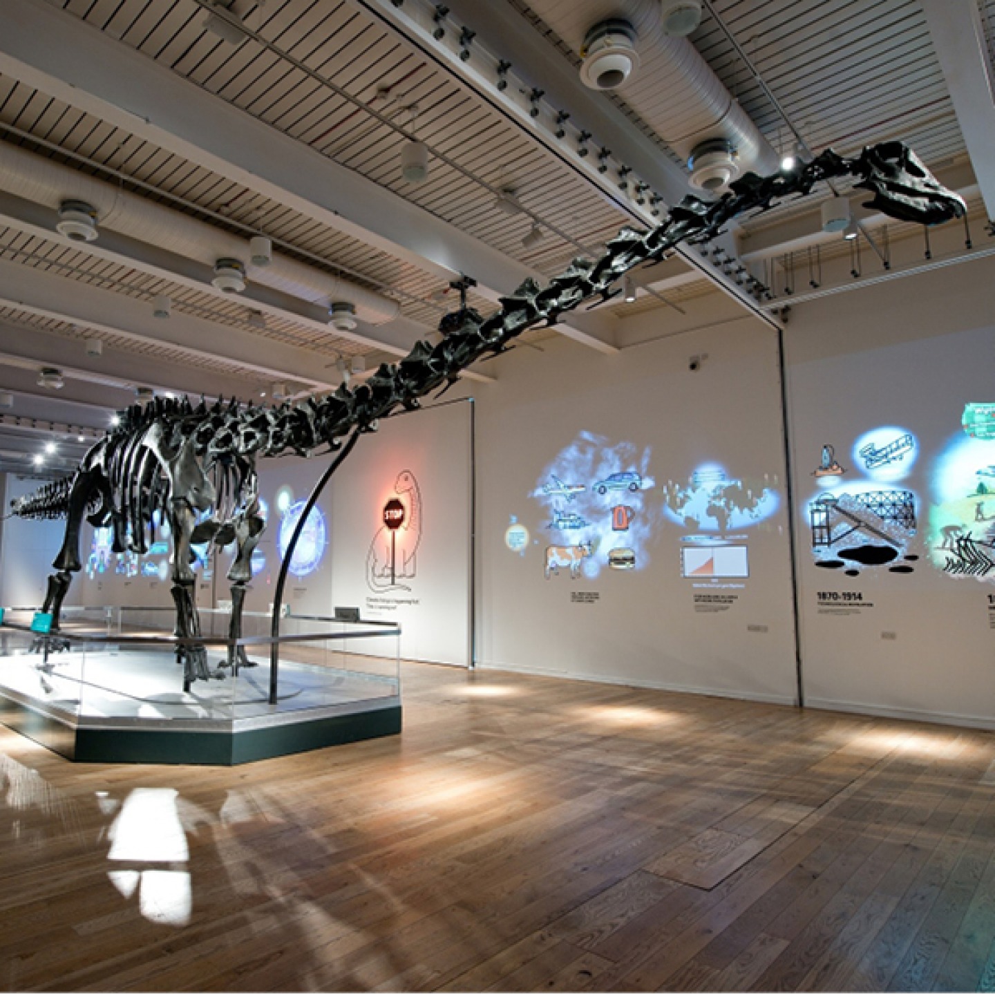 Hancock Museum Dinosaur