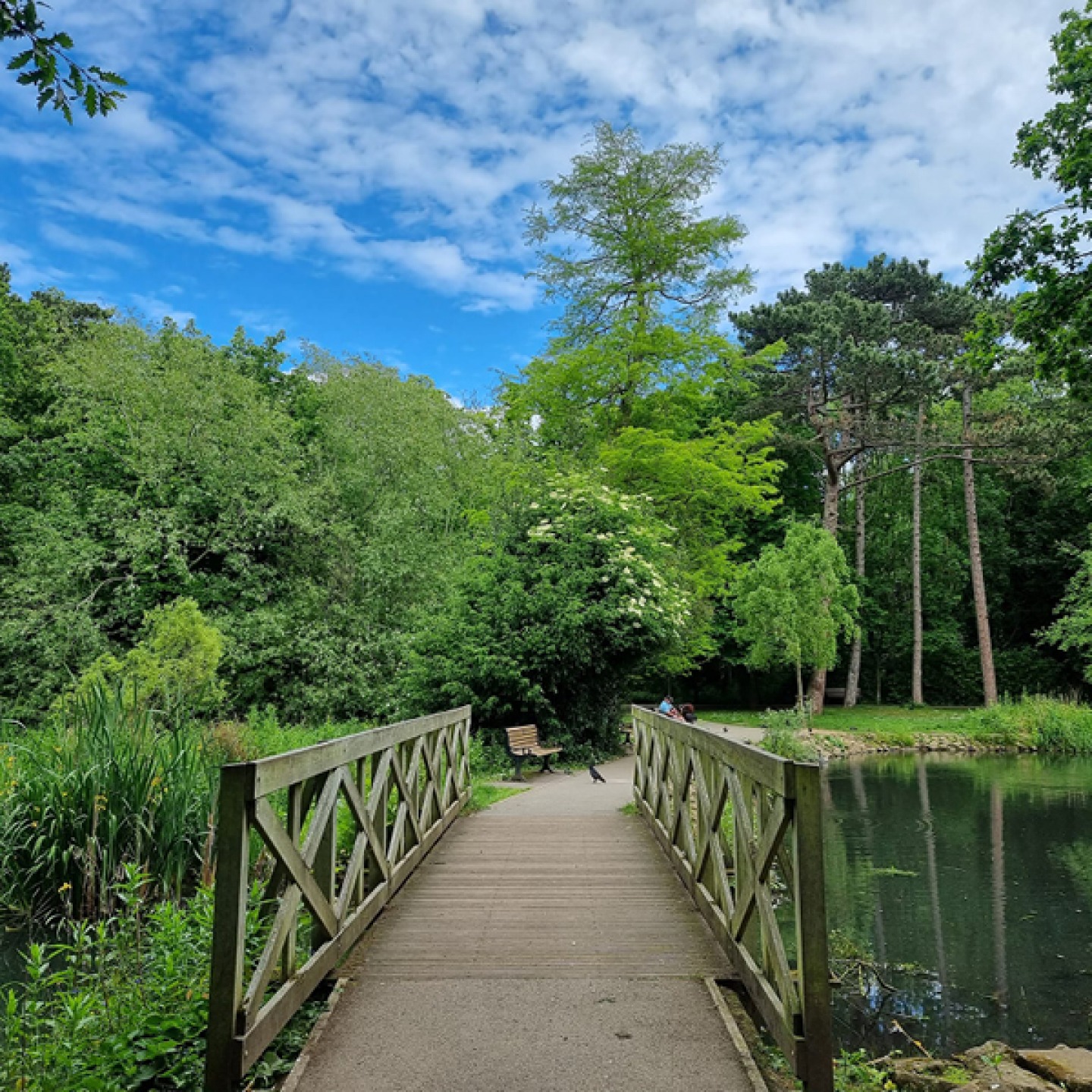 Stewart Park bridge over lake