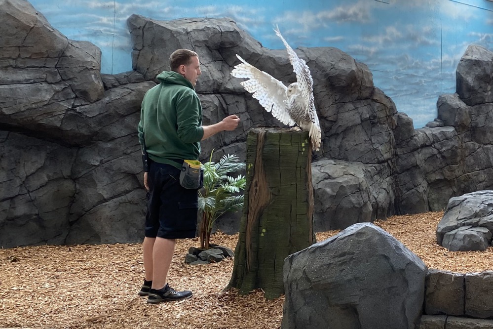 Northumberland Country Zoo